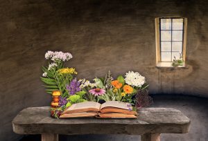 ouderwets kruidenboek met bloemen