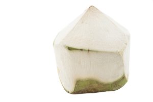 jonge kokosnoot